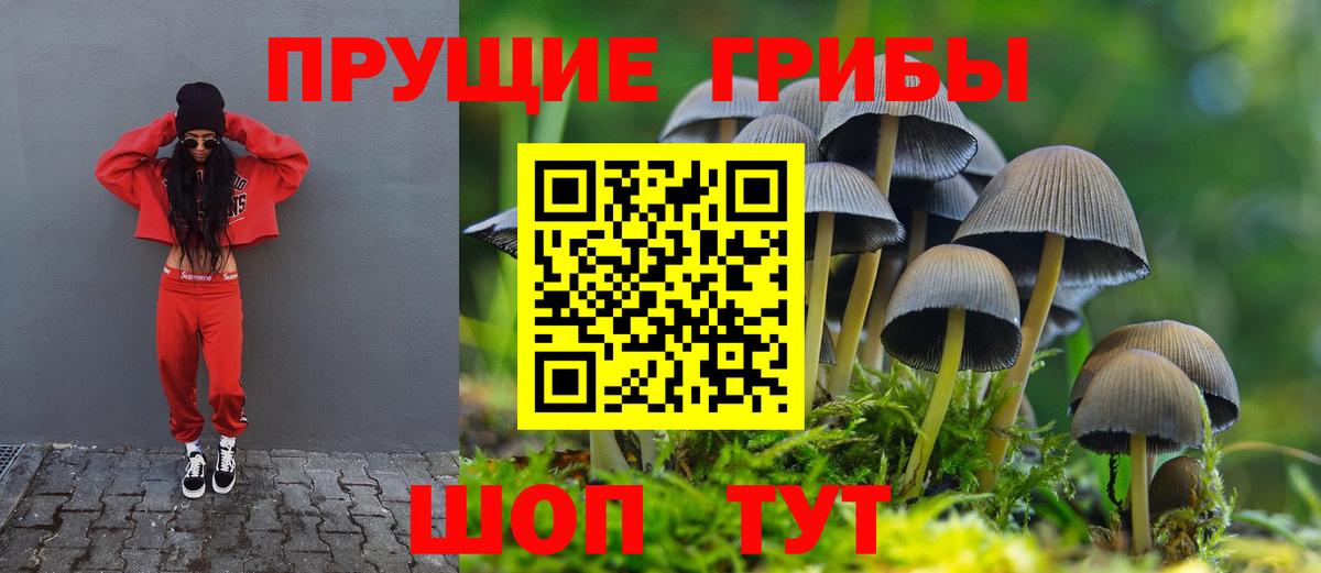 где продают наркотики  Псилоцибиновые грибы прущие грибы  Вход с VPN  Карталы 